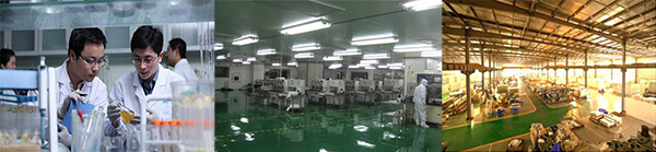 香港正能量，光導(dǎo)照明專業(yè)供應(yīng)商，8年專注