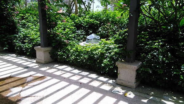 五洲灣光導照明應(yīng)用